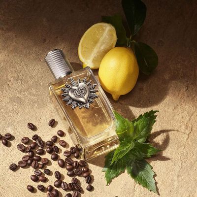 Perfume Devotion Pour Homme Dolce&Gabbana Masculino Eau de Parfum 50ml 50ml / Incolor