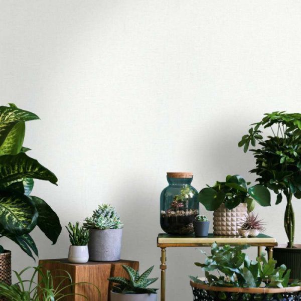 17201474659121 17201474659121