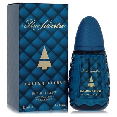 Perfume Masculino Pino Silvestre 125 Ml Eau De Toilette