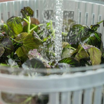 Secador De Saladas 5,5 L Clear Fresh Ou