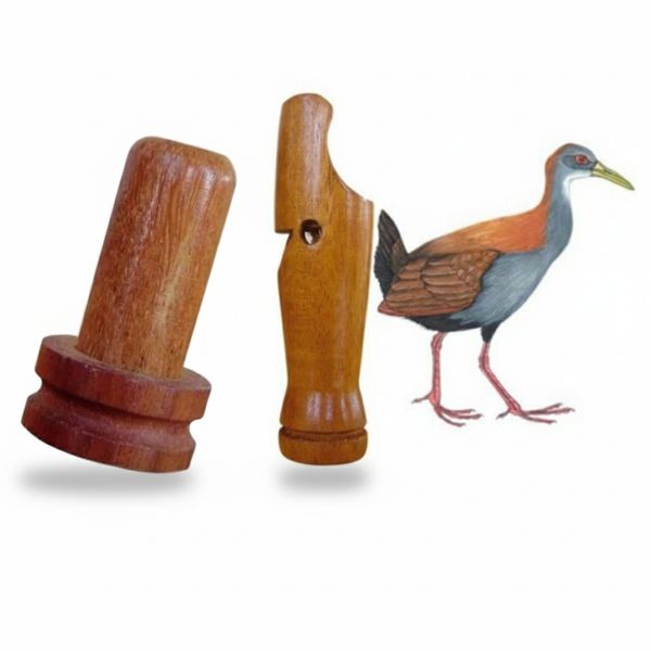 17667481093349 17667481093349