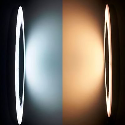 Ring Light 8 Polegadas com Suporte
