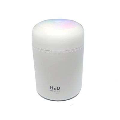 Umidificador Portátil H2O 300ml - Branco