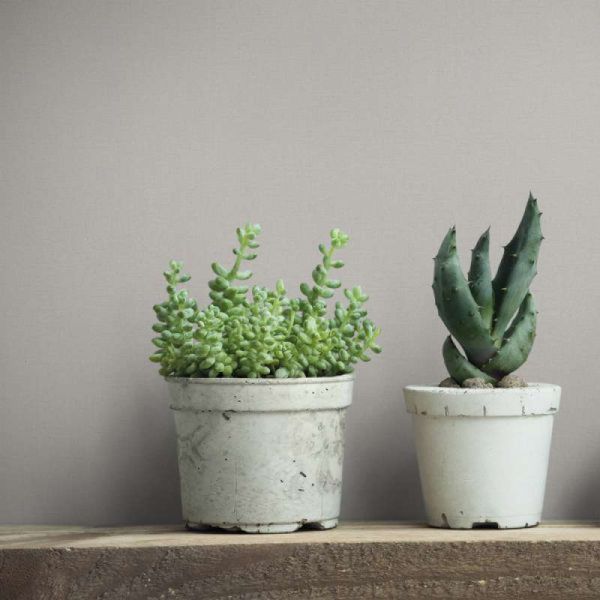 17661442292724 17661442292724