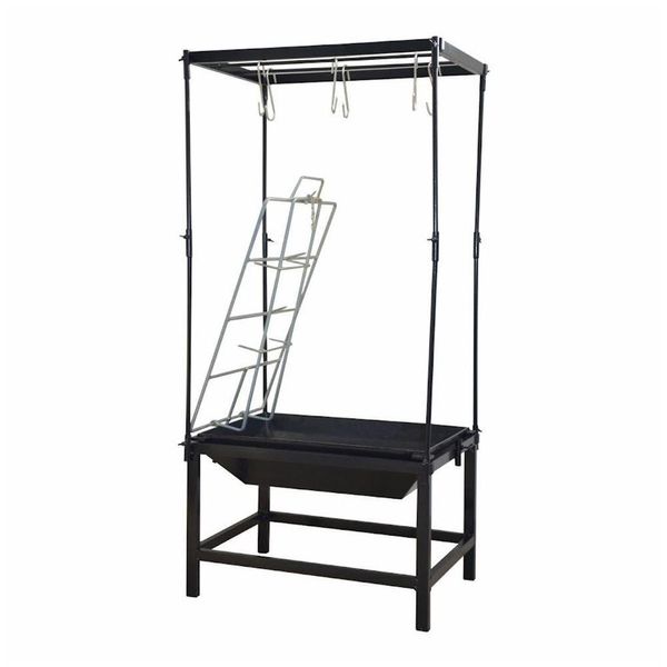 17690768737839 17690768737839