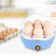 Cozedor Eletrico A Vapor Ovos Egg Cooker |  fácil de usar, lavar e transportar  - Azul