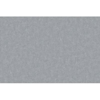 Papel de Parede Brut Aspecto Cimenticio Cinza BT2021202