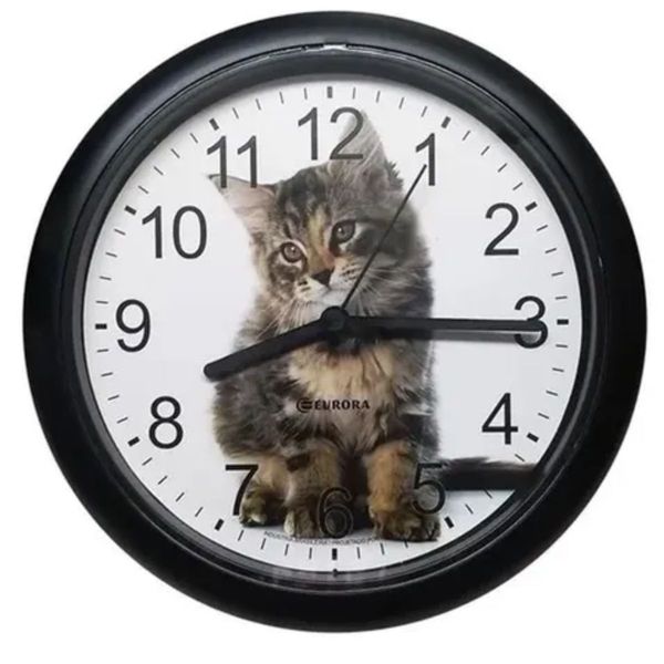 17678484934468 17678484934468