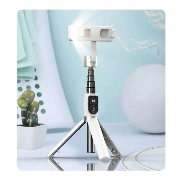 17558333522169 17558333522169