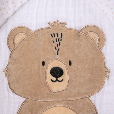 Toalha De Banho Soft Capuz Bordado Urso Ted Papi