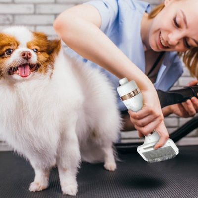 Escova Secadora de Pelos para Animais – Massagem, Desembaraço e Secagem Rápida