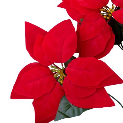 Buquê de Flores Papagaio Vermelho CV244322 Cazza