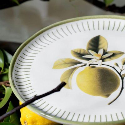 Conjunto De Pratos De Sobremesa 06 Peças Bio Lemon Porto Brasil