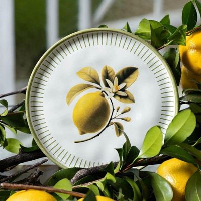 Conjunto De Pratos De Sobremesa 06 Peças Bio Lemon Porto Brasil