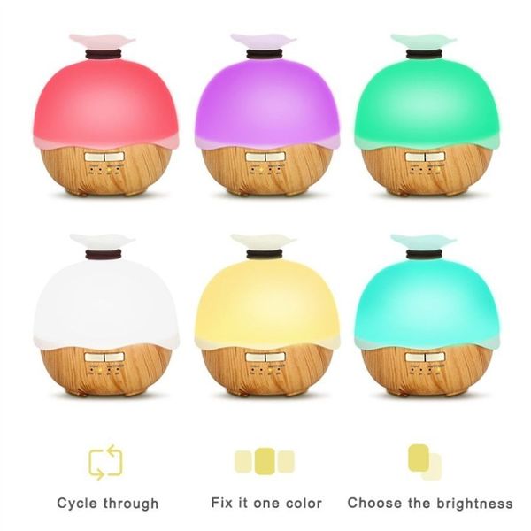 17721884716802 17721884716802