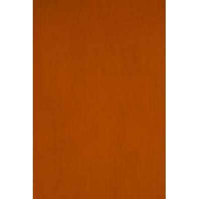 Papel Couchê Reipel Laranja 50x60cm com 2 Folhas