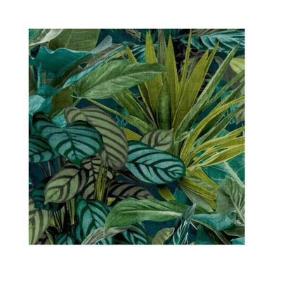 Papel de Parede Wanderlust WL2001 Papel de Parede Wanderlust Folhagem Verde WL2001