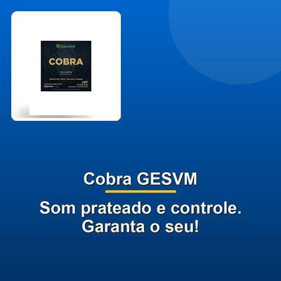 Encordoamento Viola Aço Cobre Prateado Gesvm