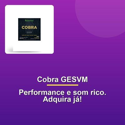 Encordoamento Viola Aço Cobre Prateado Gesvm
