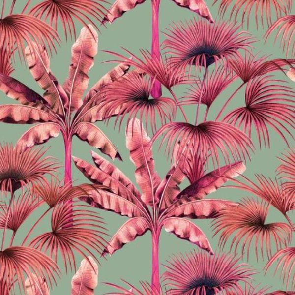 17667507782377 17667507782377