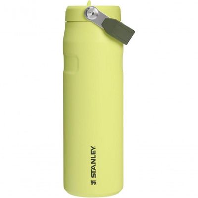 Garrafa Térmica Stanley Aerolight Flip Straw 710ml Prickly Pear
