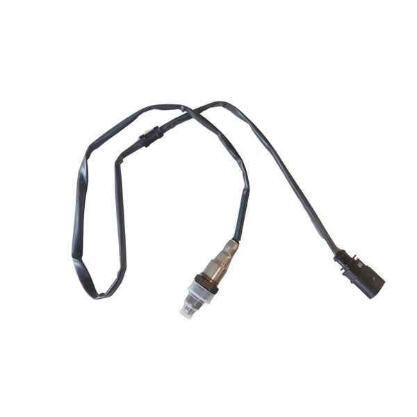 17697262541169 17697262541169