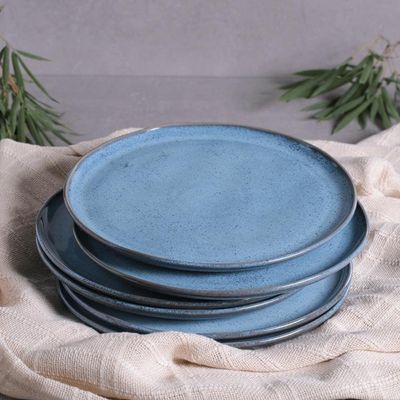 Conjunto com 6 Pratos Rasos Linhas Bio Breeze 27,5cm Porto Brasil n/a