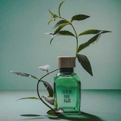 Adolfo Dominguez Verbena Eau De Toilette - Perfume Masculino 120ml 120ml