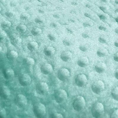 Manta Cobertor Microfibra Phoa Queen - Alecrim - 100% Poliéster