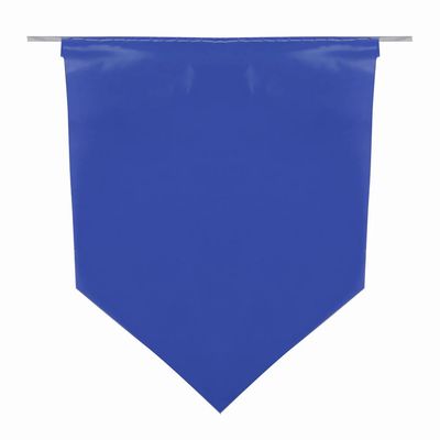Bandeirola Plástica Luiz Gonzaga 10m com 21 Unidades 17x23cm
