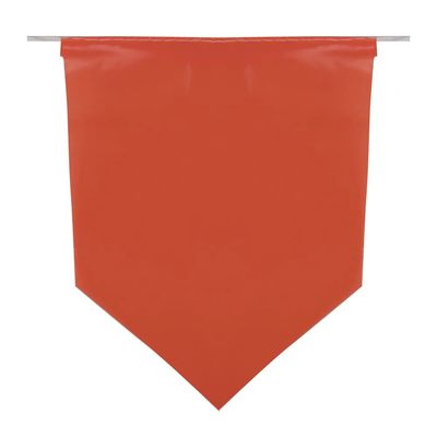 Bandeirola Plástica Luiz Gonzaga 10m com 21 Unidades 17x23cm