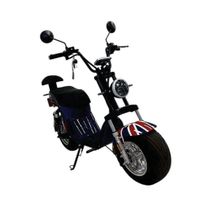 BICICLETA ELÉTRICA HARLEY 16 REINO UNIDO - DESMONTADA