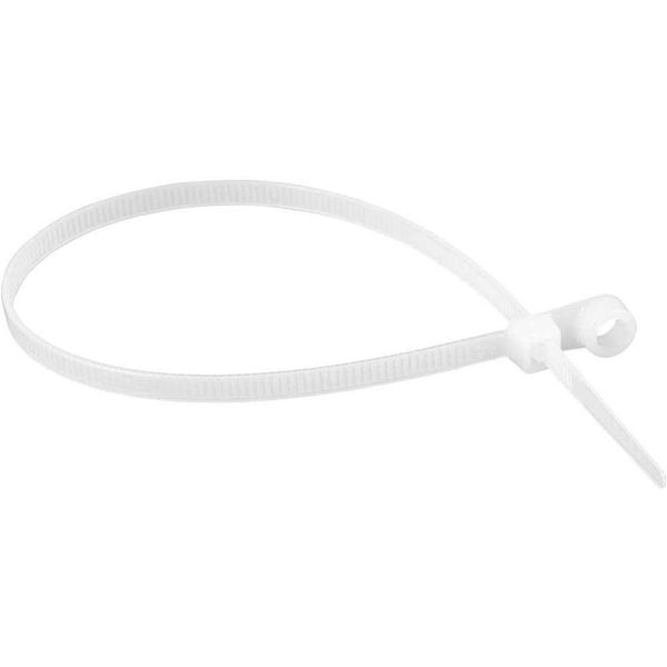 17700593443447 17700593443447