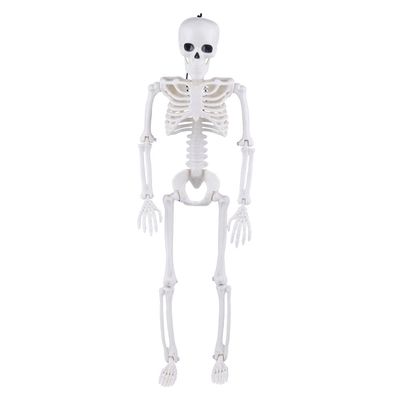 Esqueleto Halloween Play&Fun 40cm