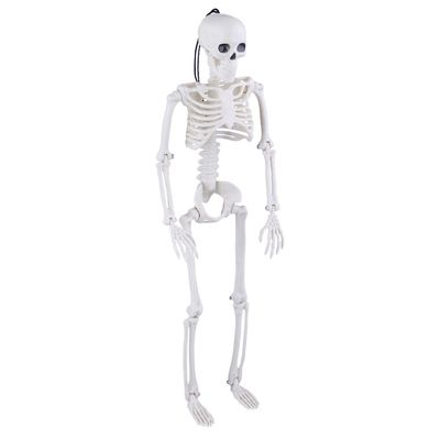 Esqueleto Halloween Play&Fun 40cm