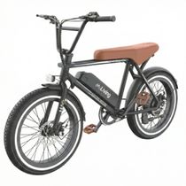 BICICLETA ELÉTRICA LIVING GIL PRETA - MONTADA