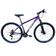 Bicicleta Aro 29 Gta Start Alumínio Mountain Bike 21v Freio A Disco Garfo Suspensão Roxo Tam: 15