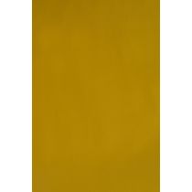Papel Couchê Reipel Amarelo 50x60cm com 2 Folhas
