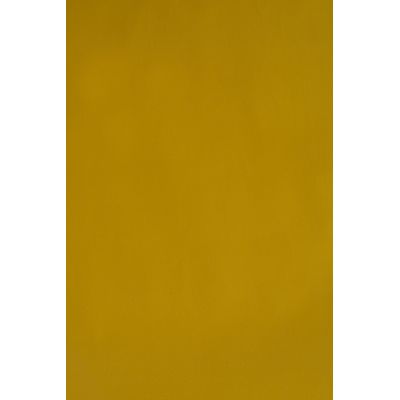 Papel Couchê Reipel Amarelo 50x60cm com 2 Folhas