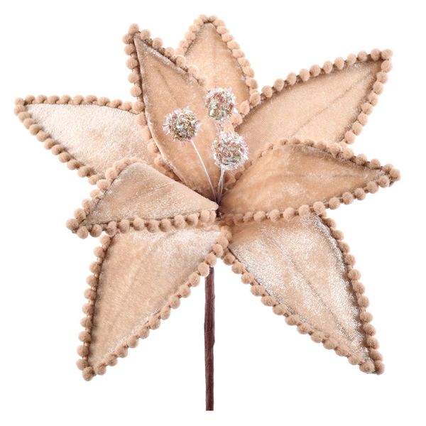 Pick Bico De Papagaio