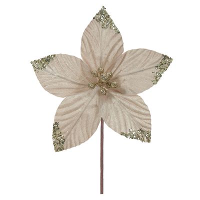 H.BICO DE PAPAGAIO (CHAMPANHE) 18cm