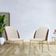Cadeira De Jantar Mila Aço Ouro.f Corano Marrom/velosuede Off White - Nexta Casa