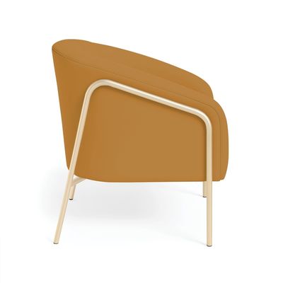 Poltrona Sala Decorativa Kit 2 Stella Base Alta Tubo Champanhe Veludo D03 - D'Rossi Mostarda