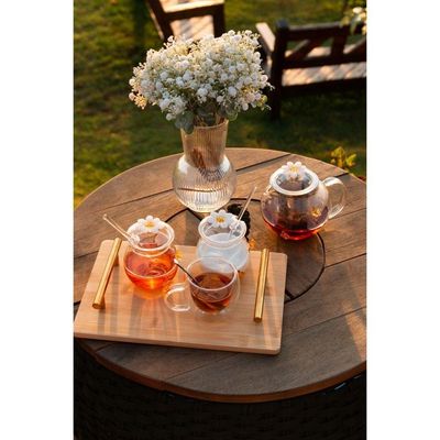 Chaleira De Vidro Com Difusor Sun Garden 600ml Wolff