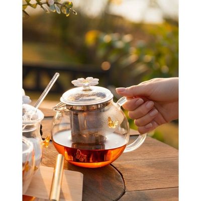 Chaleira De Vidro Com Difusor Sun Garden 600ml Wolff