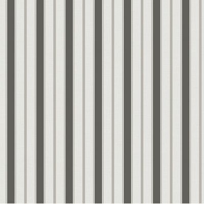 Papel de Parede Essential Listras Preta ES98164
