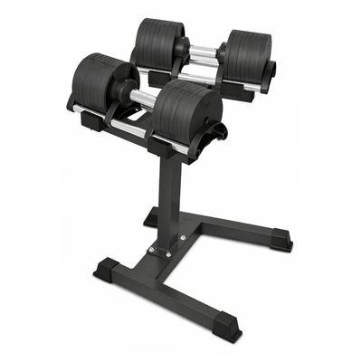 Kit Dumbell Ajustável 32kg Ahead Sports Com Suporte Rack Profissional