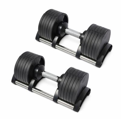Kit Dumbell Ajustável 32kg Ahead Sports Com Suporte Rack Profissional