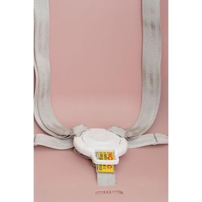 Cadeira De Alimentação Galzerano Gaia 2 Em 1 Alta E Baixa Até 23kg Rosé