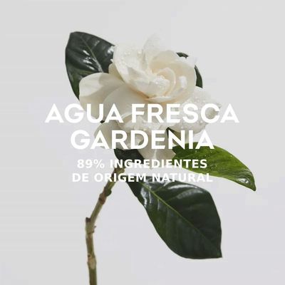 Adolfo Dominguez Gardênia Eau De Toilette - Perfume Feminino 120ml